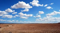 Подготвят се законови промени срещу незаконното преотдаване на земя