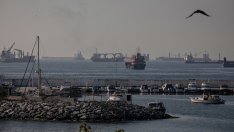 Първи търговски кораб тества хуманитарния коридор на Украйна през Черно море