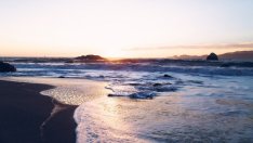 Агенцията по храните затвори през летния сезон 22 обекта по морето