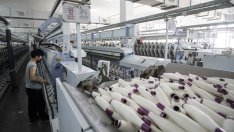 Завръща ли се лудизмът?