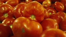 "Доматената война" с Турция носи загуби от 1,5 млрд. долара за Русия