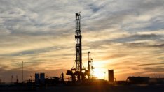 Икономисти: Не очакваме допълнително поскъпване на петрола до края на годината