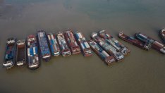 Биогорива срещу водород: накъде ще поеме бъдещето на транспорта?