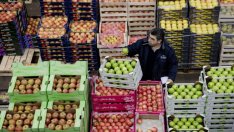 Графика на деня: Цените на храните са на 6-годишен връх и ще растат още