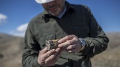 Каква е ролята на кобалта и никела в надпревара при батериите за електромобили?