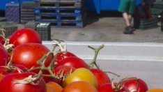 ЕС вижда в руската забрана за внос на зеленчуци нарушаване на условията на СТО