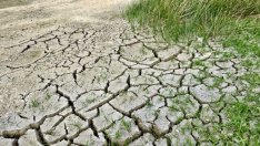 Капитализмът може да спаси... климата