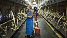 Промишленото производство в САЩ изненада със значителен ръст 