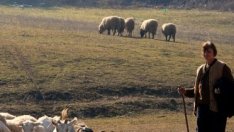 Новата агрополитика на ЕС може да се забави с една година