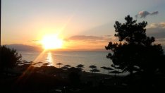 Соларните панели са най-големият производител на зелена енергия това лято