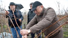 България изнася по около 64 млн. литра вино на година