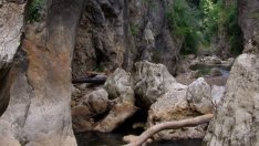 Преди референдума в Трън икономист сравни регионите със и без рудодобив