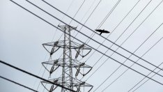 EVN България предлага 4-процентен ръст в цената на дневната електроенергия