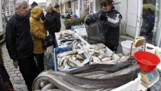 Животът в Черно море ще бъде силно засегнат от климатичните промени