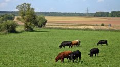 "Елана Агрокредит" набра близо 20 млн. лв. в приключилото публично предлагане