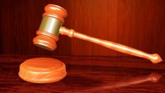 Природозащитници и магистрати искат вето на законови текстове