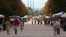 „Галъп“: Създаденото правителство се приема като неизбежна опция, с много критики