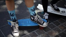 Данъци от продажби на марихуана ще подкрепят бюджета на Калифорния с 1 млрд. долара