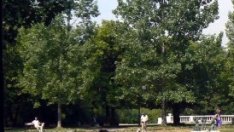 Близо 400 предложения са постъпили по плана за Борисовата градина