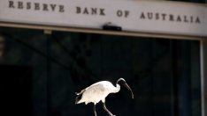 Централната банка на Австралия може да понижи основната лихва до 0,75%