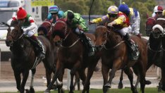 Монголия обмисля легализирането на конните надбягвания