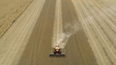 Китай се стреми да ускори покупките на земеделски продукти от САЩ