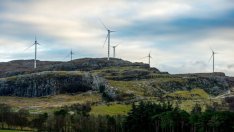 Компаниите все повече ще търсят беземисионна среда за инвестициите си