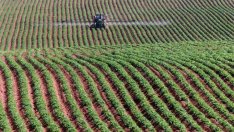 Само 3% от земеделската земя в България е сертифицирана за биоземеделие