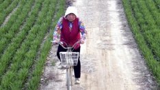 Четири възможности за инвестиции в бизнес имоти