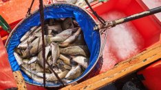 ЕС и Великобритания все още нямат решение за въпроса с риболова