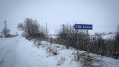 Украйна вече анализира алтернативи за българското оборудване за АЕЦ "Белене"