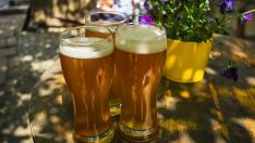 Постъпленията в бюджета от акциз върху бирата растат през 2016 г.