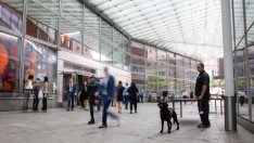 Американските работници са сред най-стресираните в света