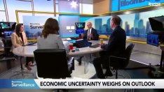 Икономиката на САЩ се оказва на територията на митата