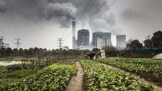 Въглищата ще продължат да властват в Китай въпреки амбициите на Си Дзинпин