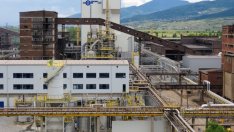 Лиляна Павлова: Преходът към зелено общество няма да бъде лесен