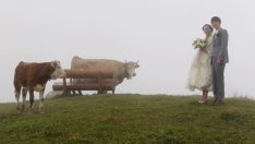 По-малко от половината сватби в Швейцария са между двама местни жители
