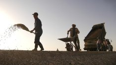 Две министерства бавят адекватната подготовка на кадри в България