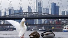 Бизнес климатът в Германия се подобрява до най-високото ниво от февруари 2014 г.