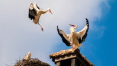 България е пета в Европейския съюз по дял на събраните екотакси