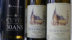 Пенливите вина ще са хитът на пазара на вино