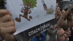 Властта вкара Закона за горите в задънена улица 