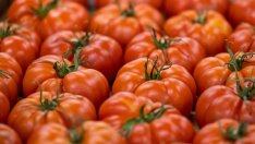 КНСБ: С 2% е поскъпнала малката потребителска кошница към началото на април