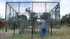 Има ли капан на по-високите доходи за държавите?