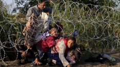 Унгария планира втора стена по границата със Сърбия