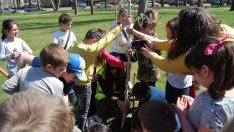 Започна залесяване на изгорелите през 2017 г. гори