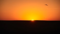 Страната на изгряващите банки