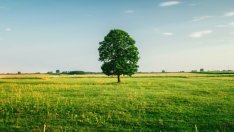 ГЕРБ оттегли подкрепата си за промени в Закона за опазване на земеделските земи*