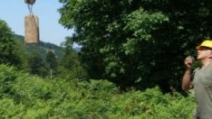 Търговията с дървесина на борсата започва със скандал