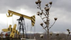 Пет фактора, които могат да пратят петрола към ново дъно